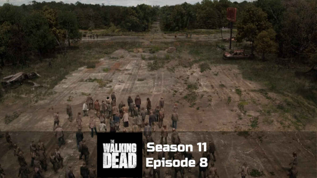 The Walking Dead Season 11 Episode 8