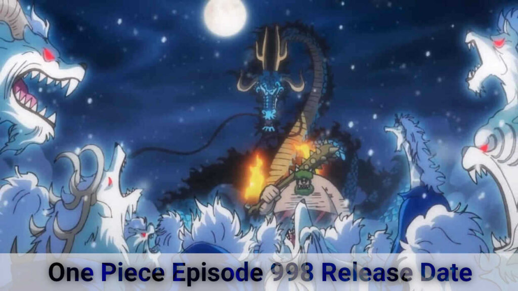 One Piece Episode 998