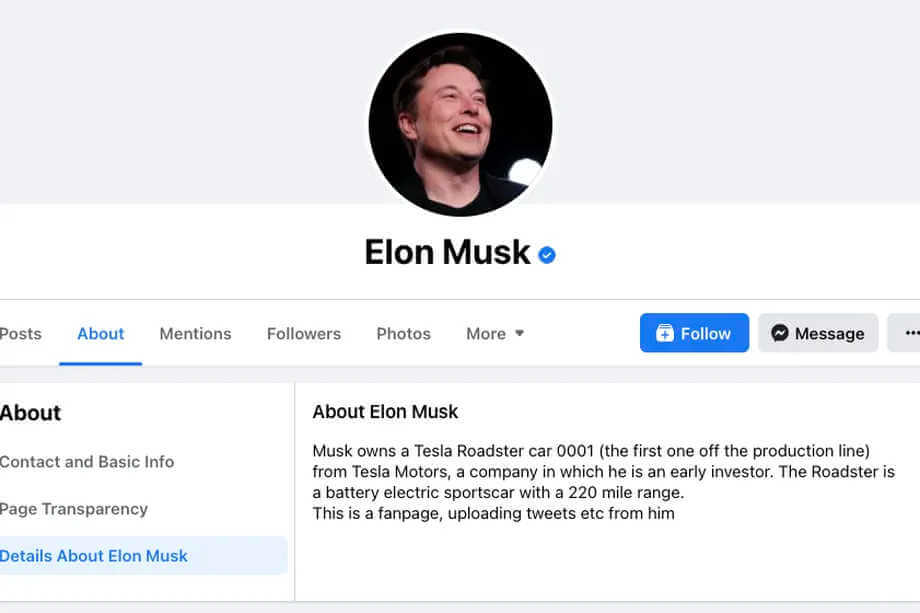 Elon Musk page