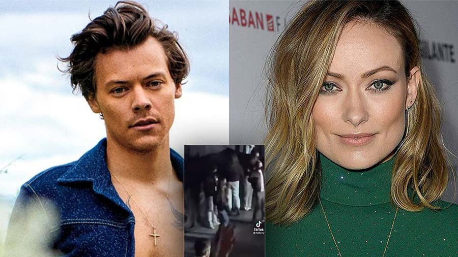 harry styles and Olivia Wilde