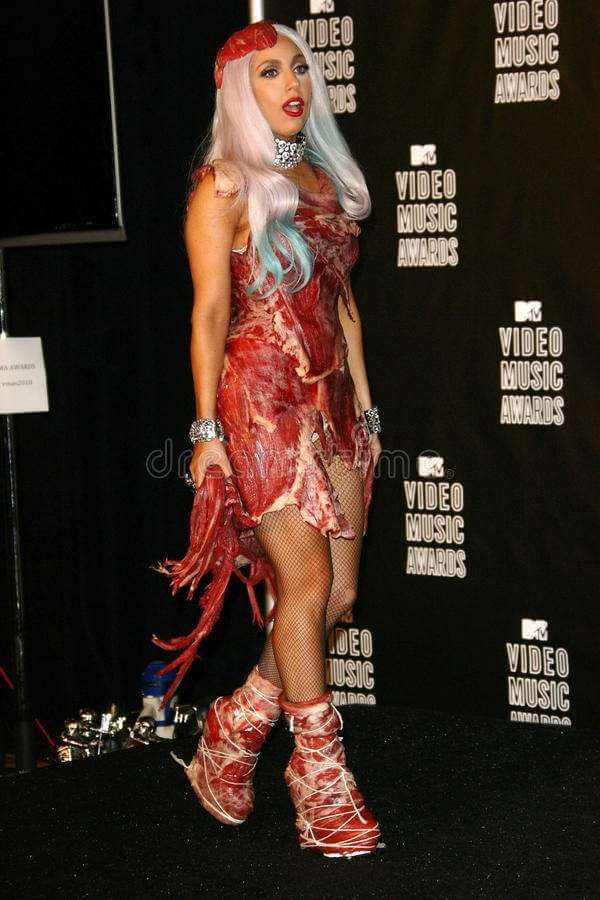 lady gaga mtv 2010 meat dress