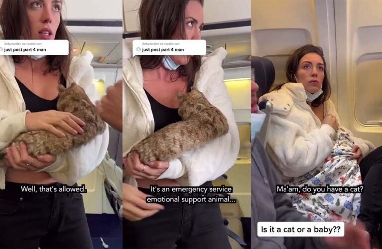 Watch Woman Breastfeeding Cat On Plane Tiktok Video Goes Viral Therecenttimes