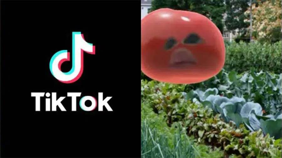 I’m a Potato TikTok