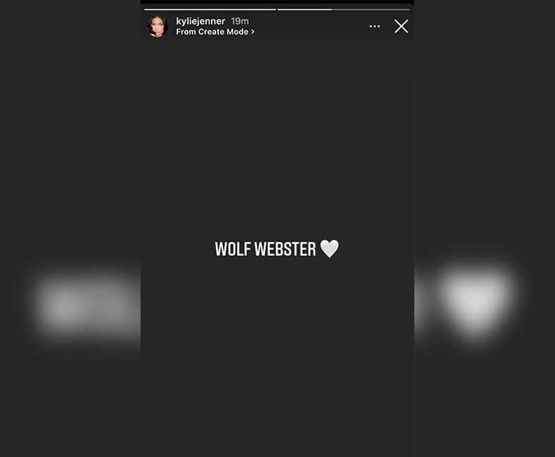 wolf webster