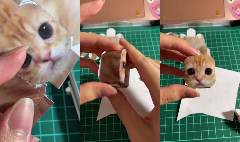 El Gato TikTok Viral Video Explained: How To Get The El Gato Cat Print