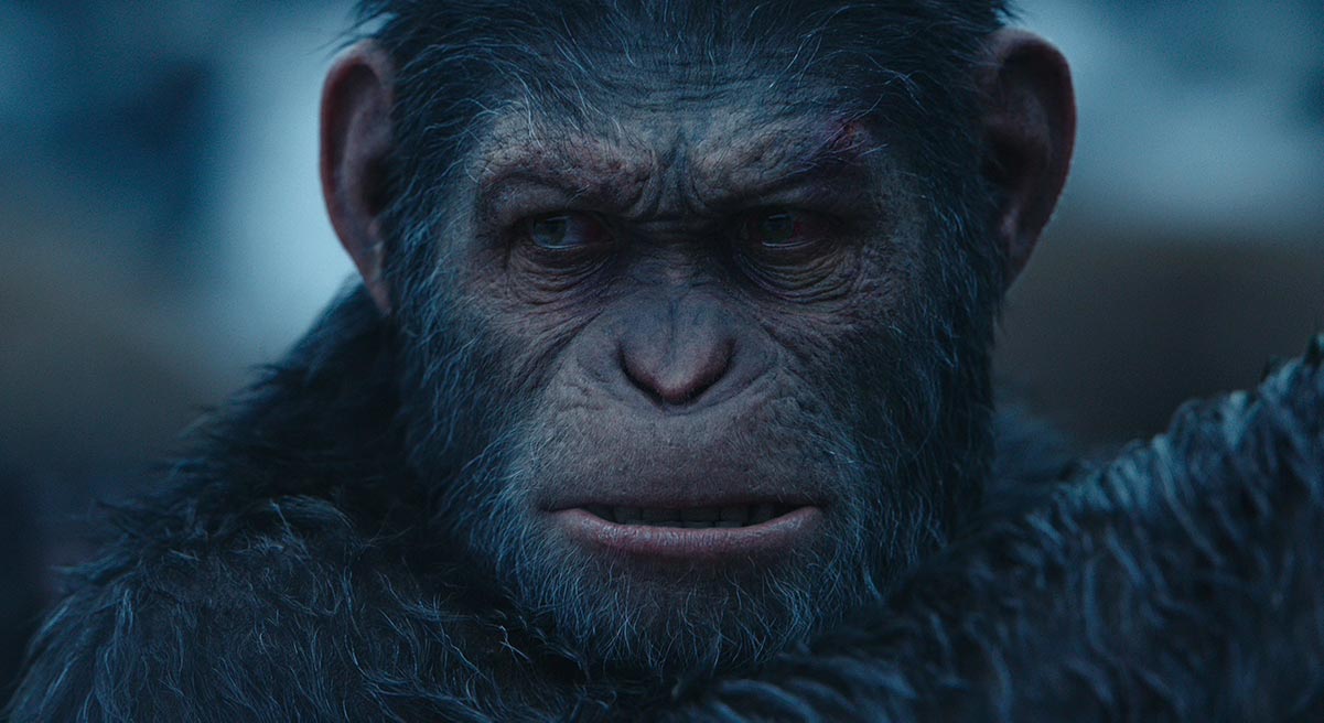 Kingdom of the of the Apes First Look, Cast and 2024 Release