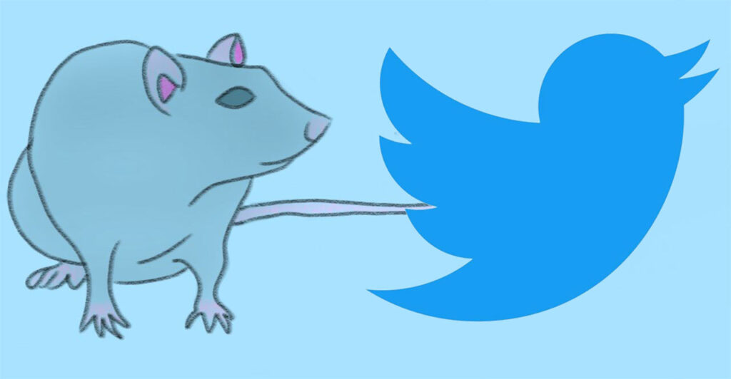 Rat Verified Twitter