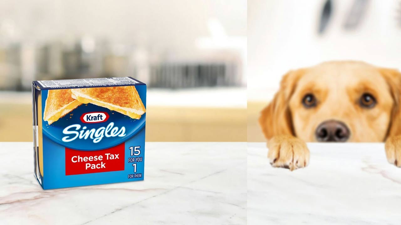 Kraft Singles Launches Cheese Tax Pack for Dogs Inspired by TikTok