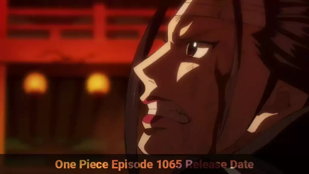One Piece Episode 1065