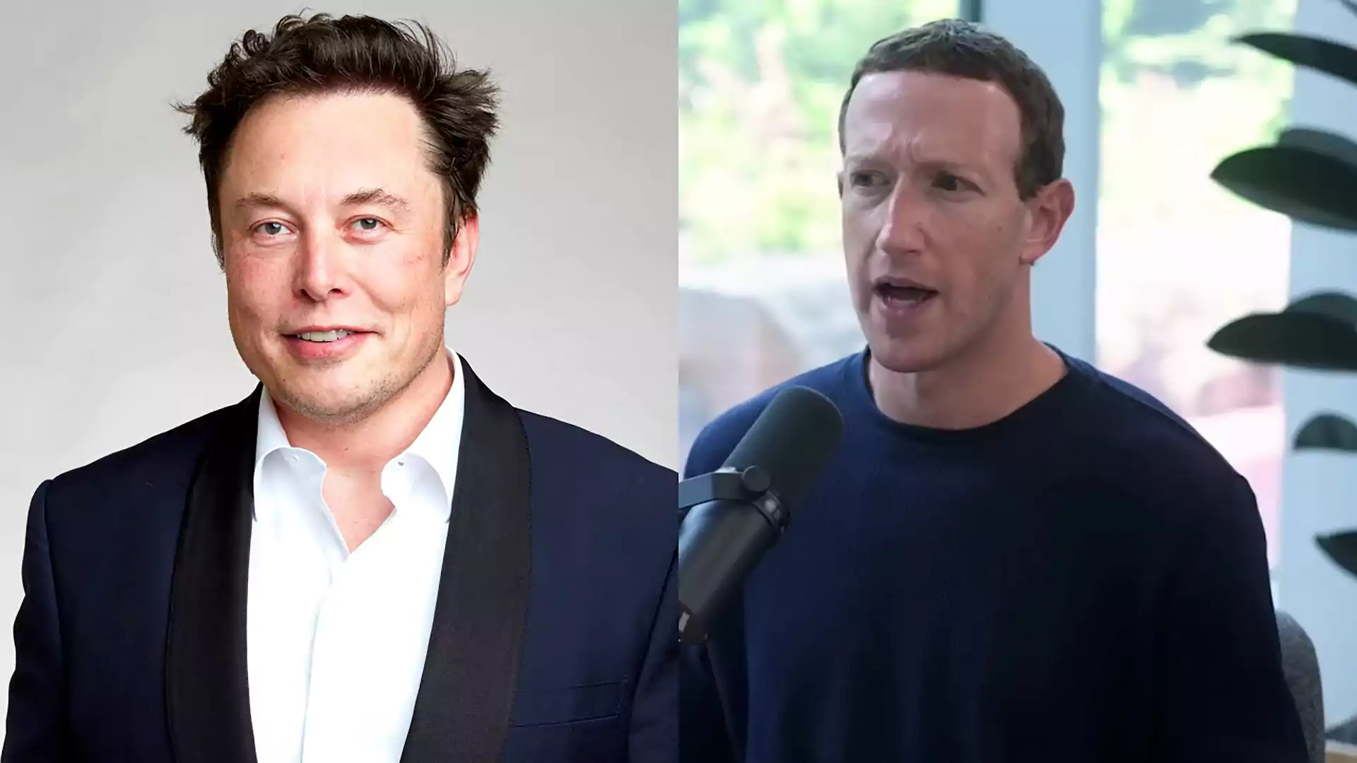 Mark Zuckerberg Ends Feud With Elon Musk Declares Elon Isnt Serious Therecenttimes