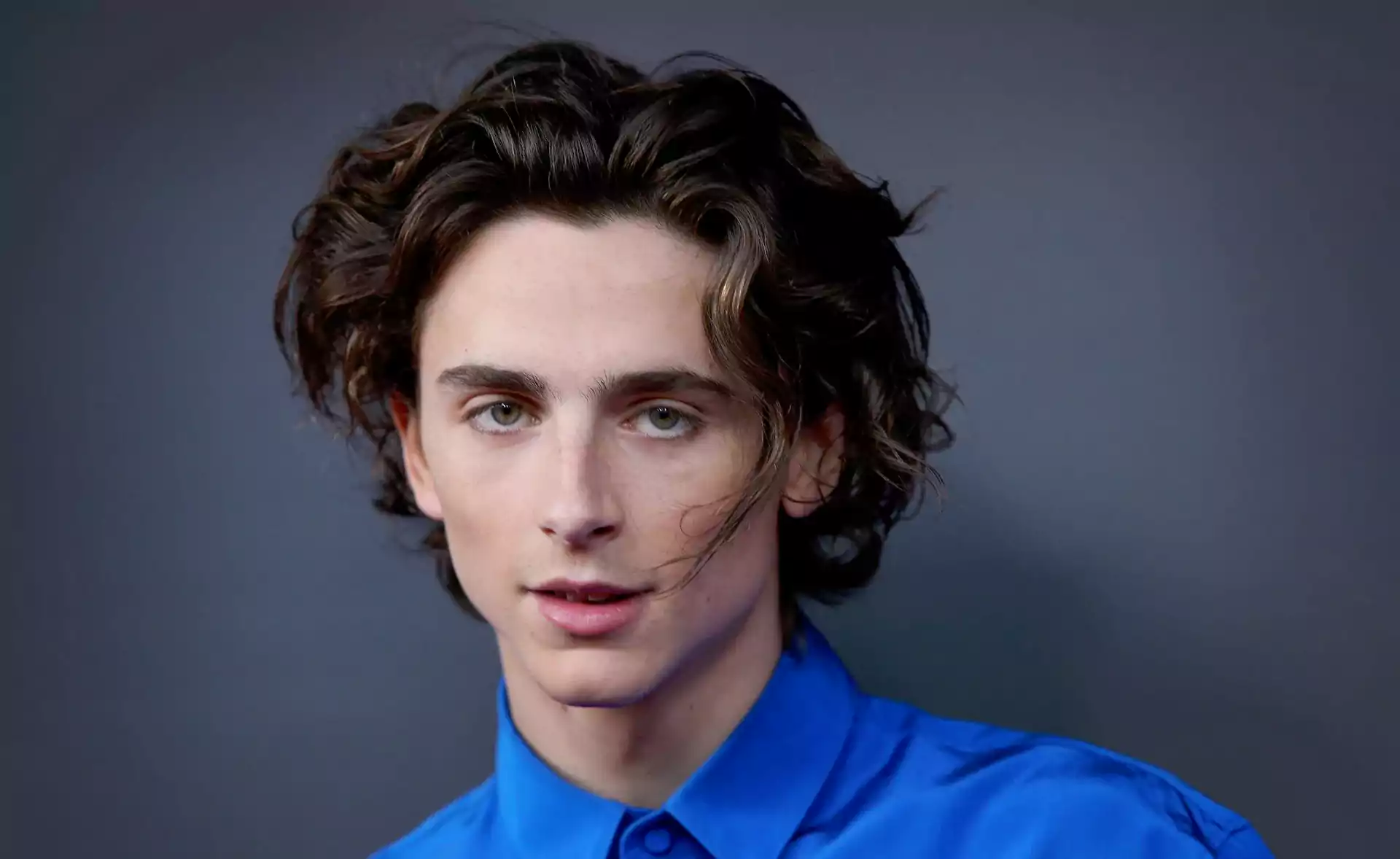 Timothée Chalamet Set to Light Up 'Saturday Night Live' Again with